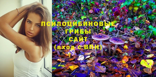 сатива Алзамай
