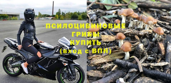 сатива Алзамай