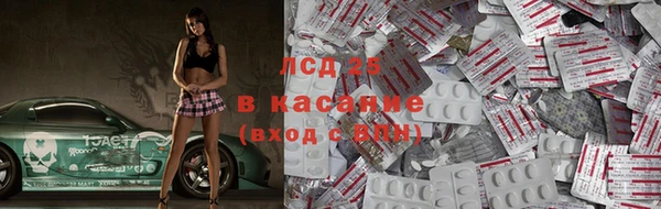 сатива Алзамай