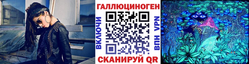 Галлюциногенные грибы Psilocybine cubensis  Аркадак 