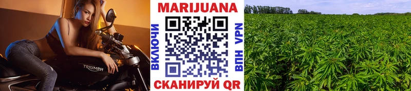 купить закладку  Аркадак  Конопля планчик 